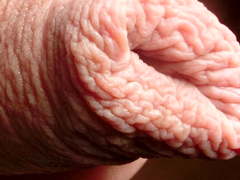 Rock-N Foreskin all day long #11